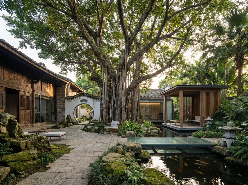 海角网古榕树纪录片视频