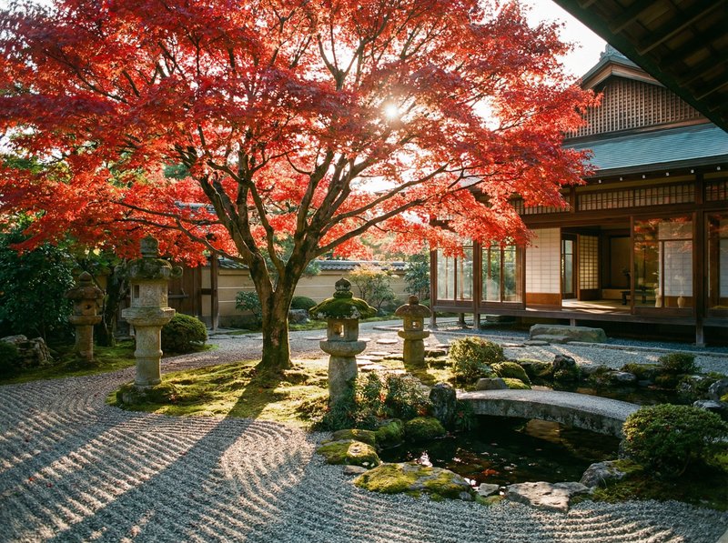 海角网红枫视频